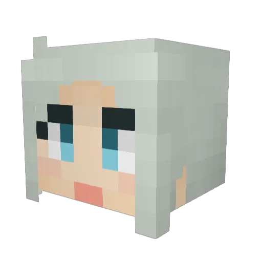 ss__jl Minecraft avatar head, 3D render