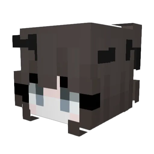 ssaar Minecraft avatar head, 3D render