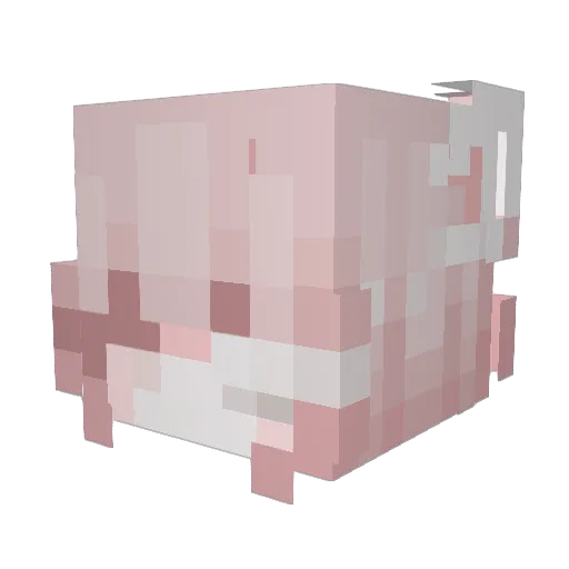 ssadchild Minecraft avatar head, 3D render