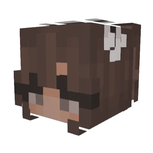 ssadia Minecraft avatar head, 3D render