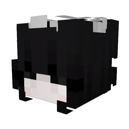ssagie Minecraft avatar head, 3D render