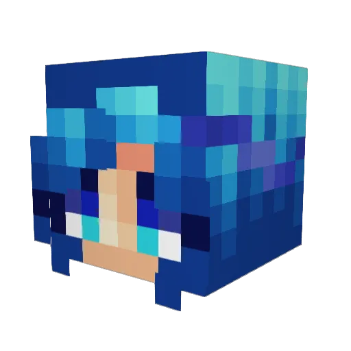 ssakellync Minecraft avatar head, 3D render