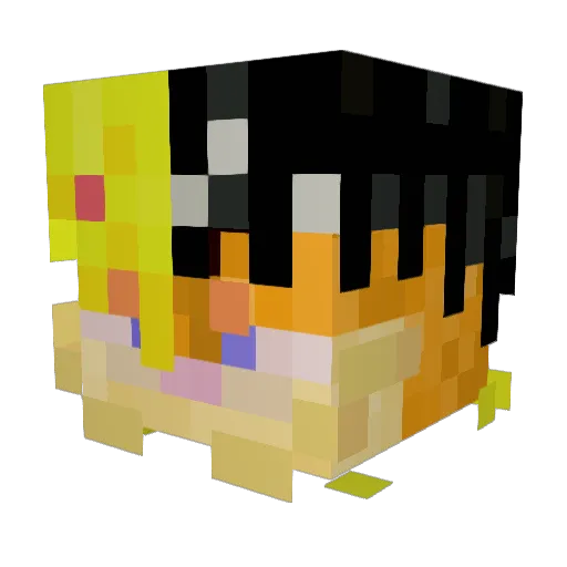 ssalamander96 Minecraft avatar head, 3D render