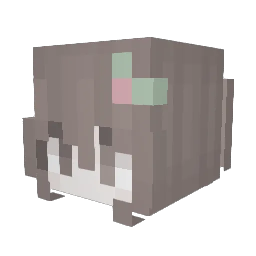 ssalith Minecraft avatar head, 3D render