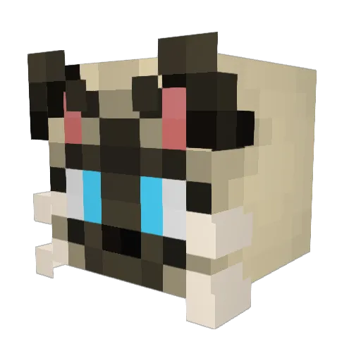 ssallock Minecraft avatar head, 3D render