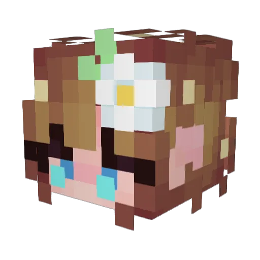 ssammers Minecraft avatar head, 3D render