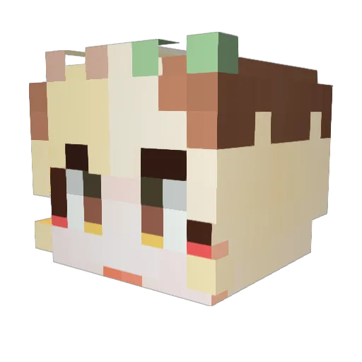 ssammooyojeong Minecraft avatar head, 3D render