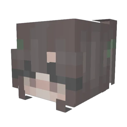 ssaradaraa Minecraft avatar head, 3D render
