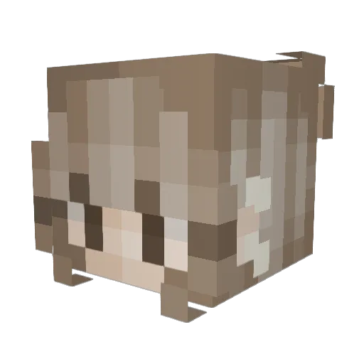 ssarahg Minecraft avatar head, 3D render