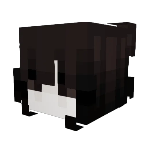 ssaraj Minecraft avatar head, 3D render