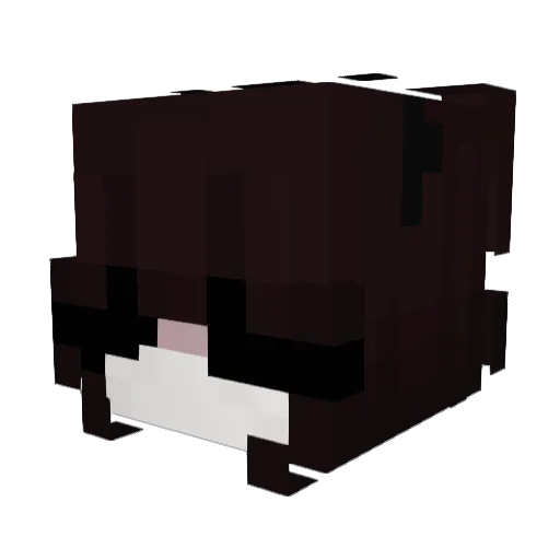 ssativa Minecraft avatar head, 3D render