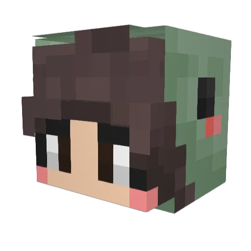 sschild Minecraft avatar head, 3D render