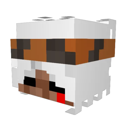sscifer Minecraft avatar head, 3D render