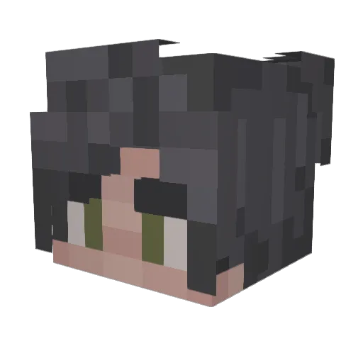 sseba4587 Minecraft avatar head, 3D render