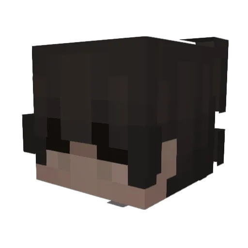 sshc Minecraft avatar head, 3D render