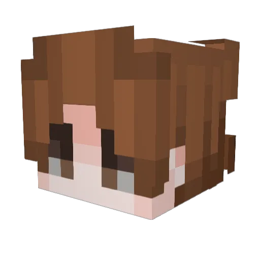 ssin0 Minecraft avatar head, 3D render