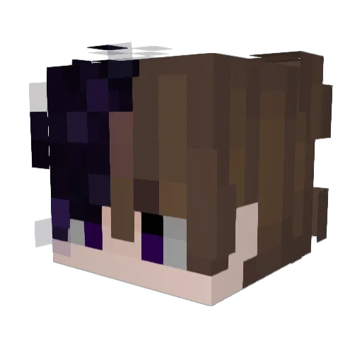 ssinfl0w3r Minecraft avatar head, 3D render