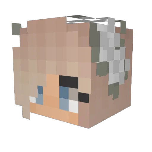 ssk626 Minecraft avatar head, 3D render