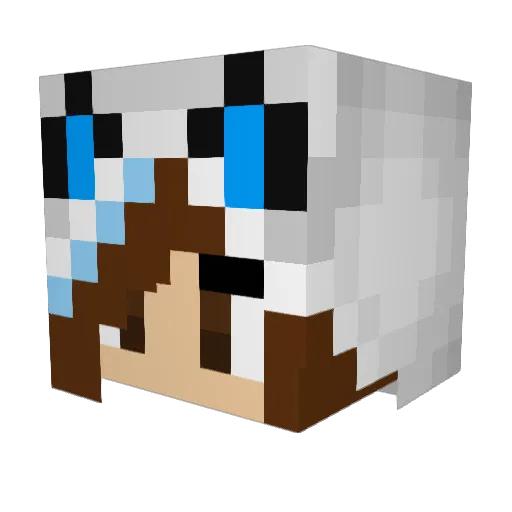 ssk_02 Minecraft avatar head, 3D render