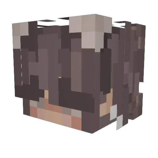 sskuraa Minecraft avatar head, 3D render