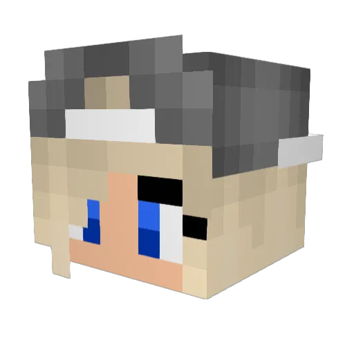 sslowtown Minecraft avatar head, 3D render
