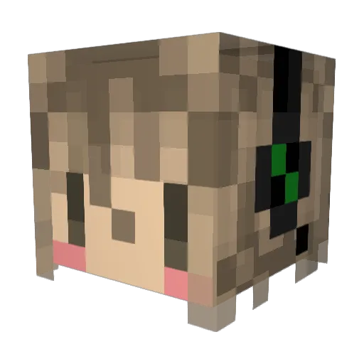 ssnm Minecraft avatar head, 3D render