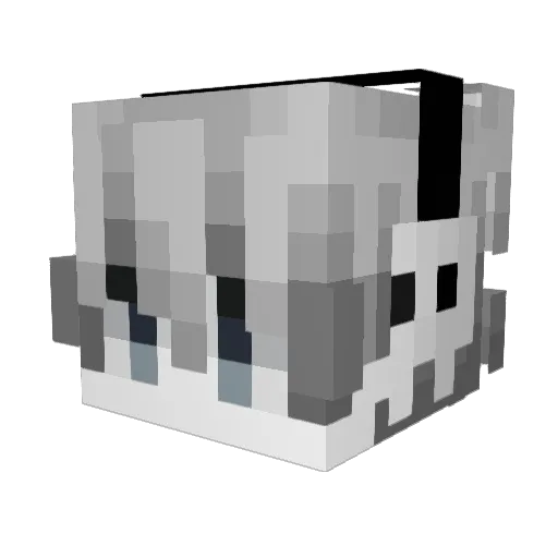 ssnufu Minecraft avatar head, 3D render