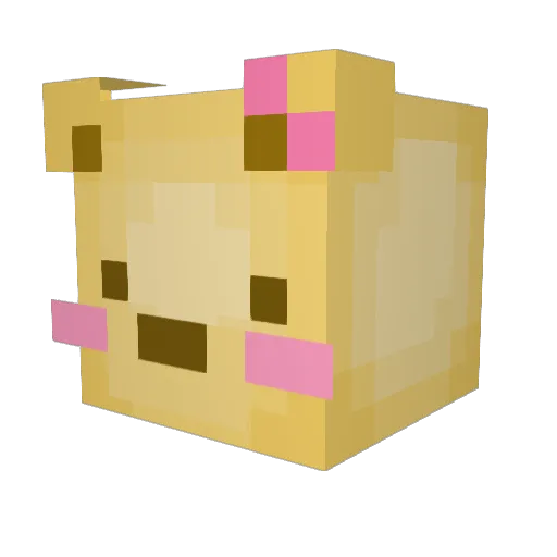 ssoaeng Minecraft avatar head, 3D render