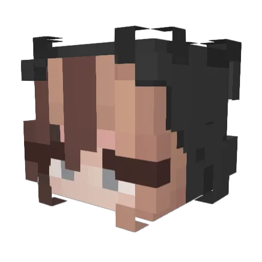 ssorceress Minecraft avatar head, 3D render