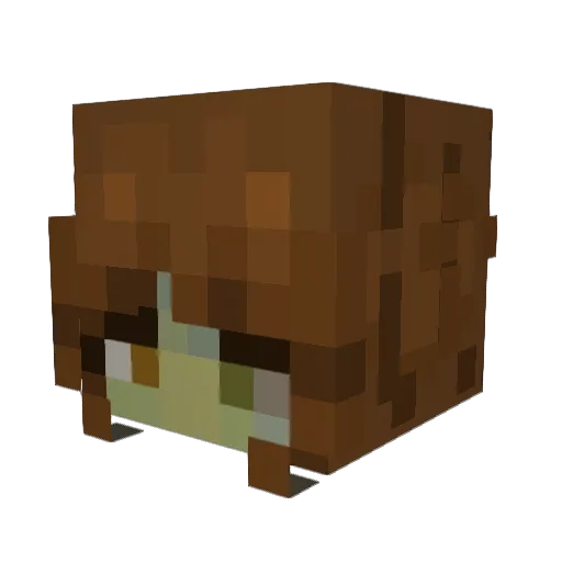 ssp00kyy Minecraft avatar head, 3D render
