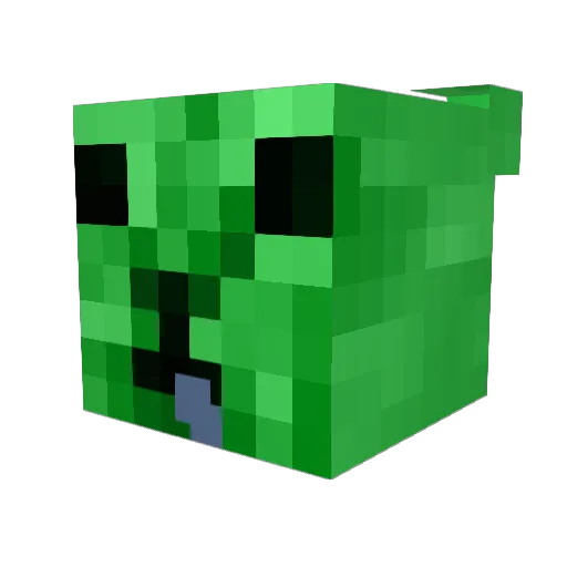 sspruce Minecraft avatar head, 3D render