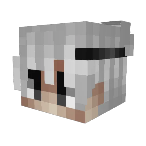 ssqs Minecraft avatar head, 3D render
