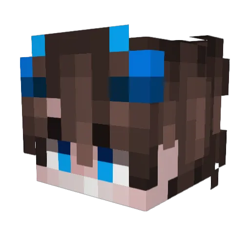 ssqsa Minecraft avatar head, 3D render