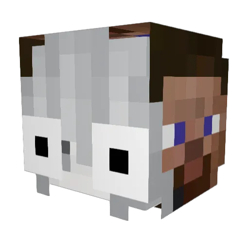 ssquild Minecraft avatar head, 3D render