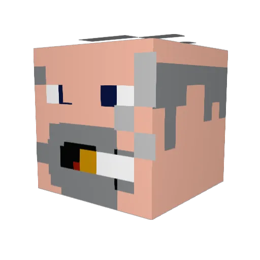 ssrobbe Minecraft avatar head, 3D render