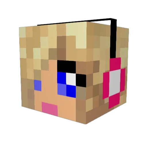 ssrocks123 Minecraft avatar head, 3D render