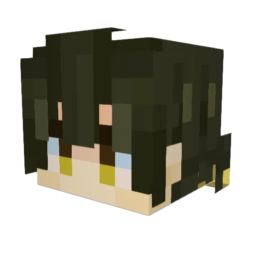 sss1020 Minecraft avatar head, 3D render