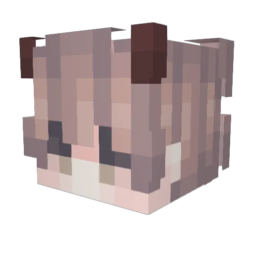 sss2pid Minecraft avatar head, 3D render