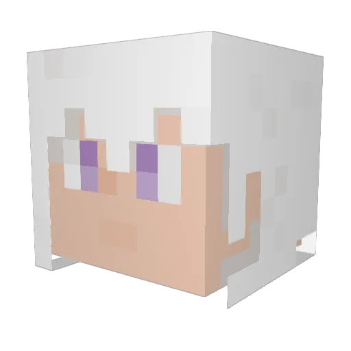 sssaaagggeee Minecraft avatar head, 3D render