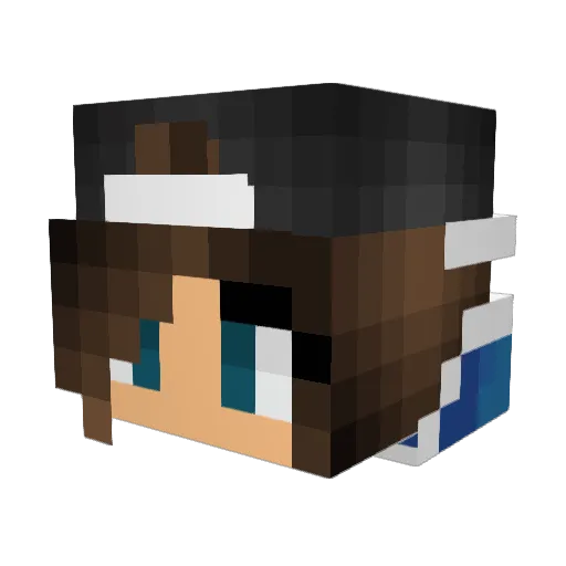 sssarah14 Minecraft avatar head, 3D render
