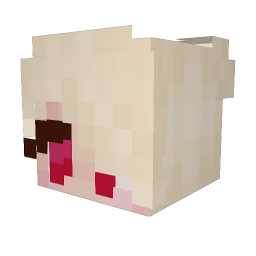 sssharkbait Minecraft avatar head, 3D render