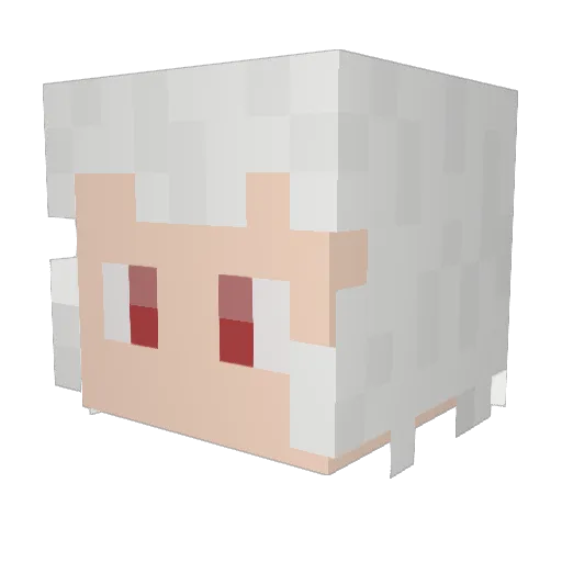 sssion Minecraft avatar head, 3D render