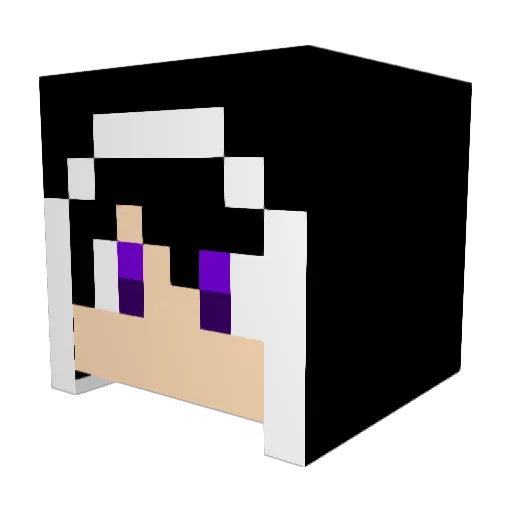 ssslashss Minecraft avatar head, 3D render