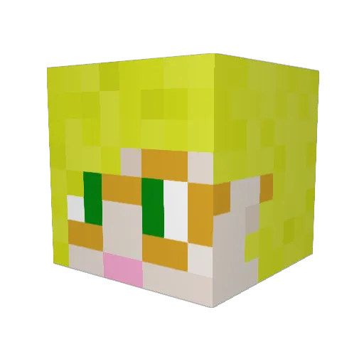 ssssambo Minecraft avatar head, 3D render