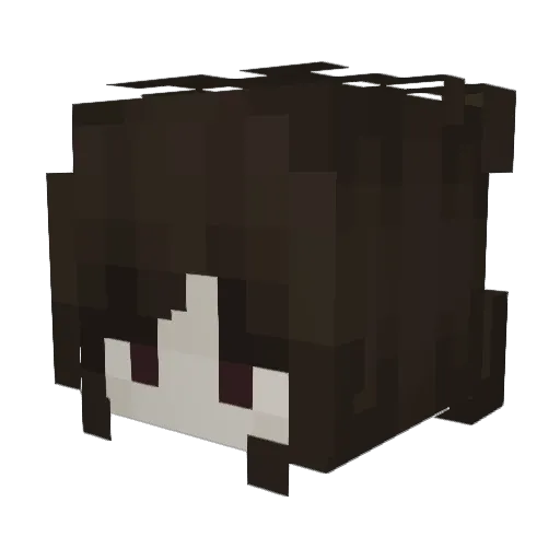 sssummon Minecraft avatar head, 3D render