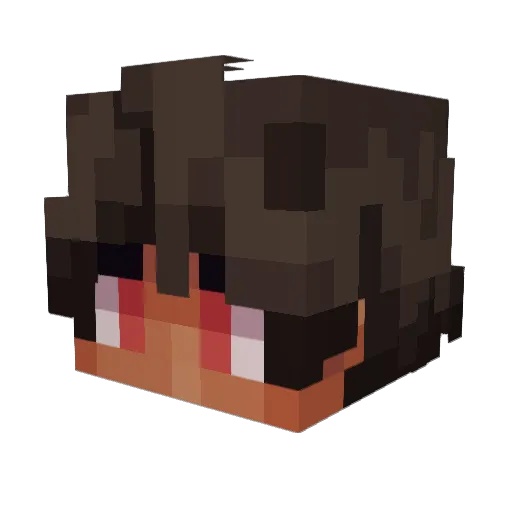 sstats Minecraft avatar head, 3D render