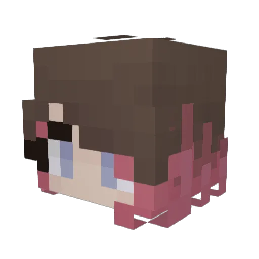 sstesla Minecraft avatar head, 3D render