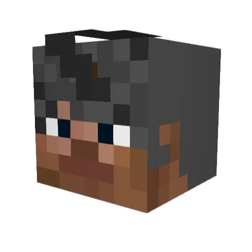 sstop9989 Minecraft avatar head, 3D render