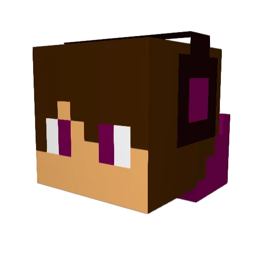 sstupln_ Minecraft avatar head, 3D render