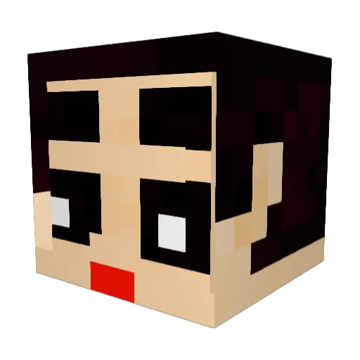 ssu_06n Minecraft avatar head, 3D render